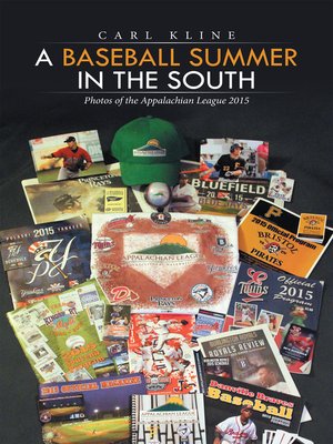 cover image of A Baseball Summer in the South